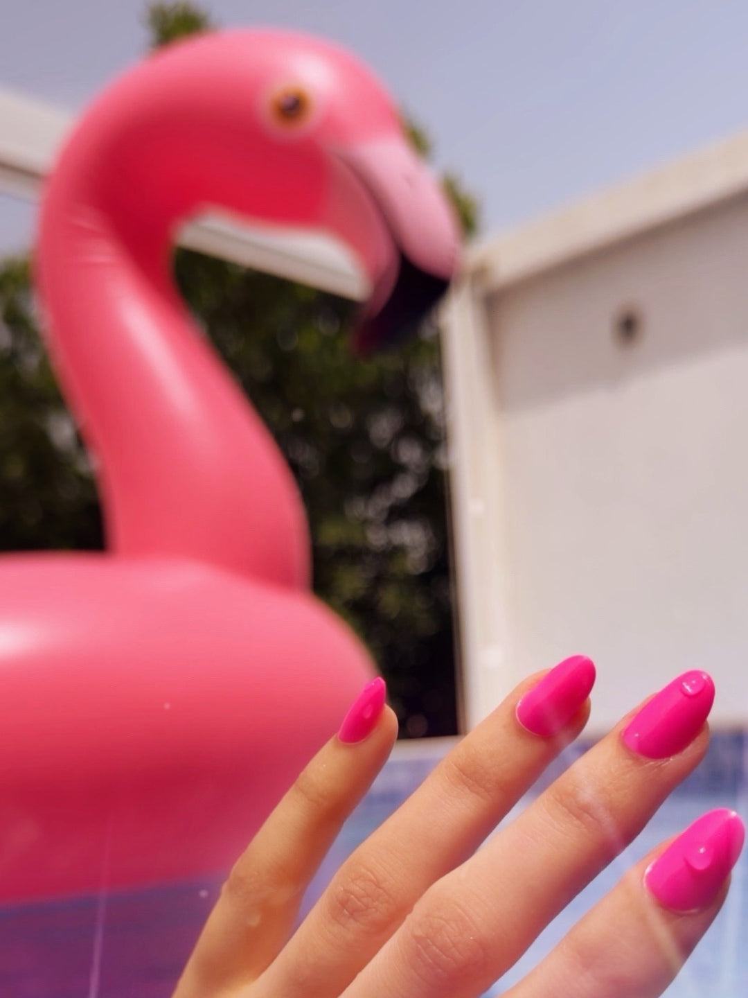 Hot Pink Basic Round هوت بينك بيسك راوند